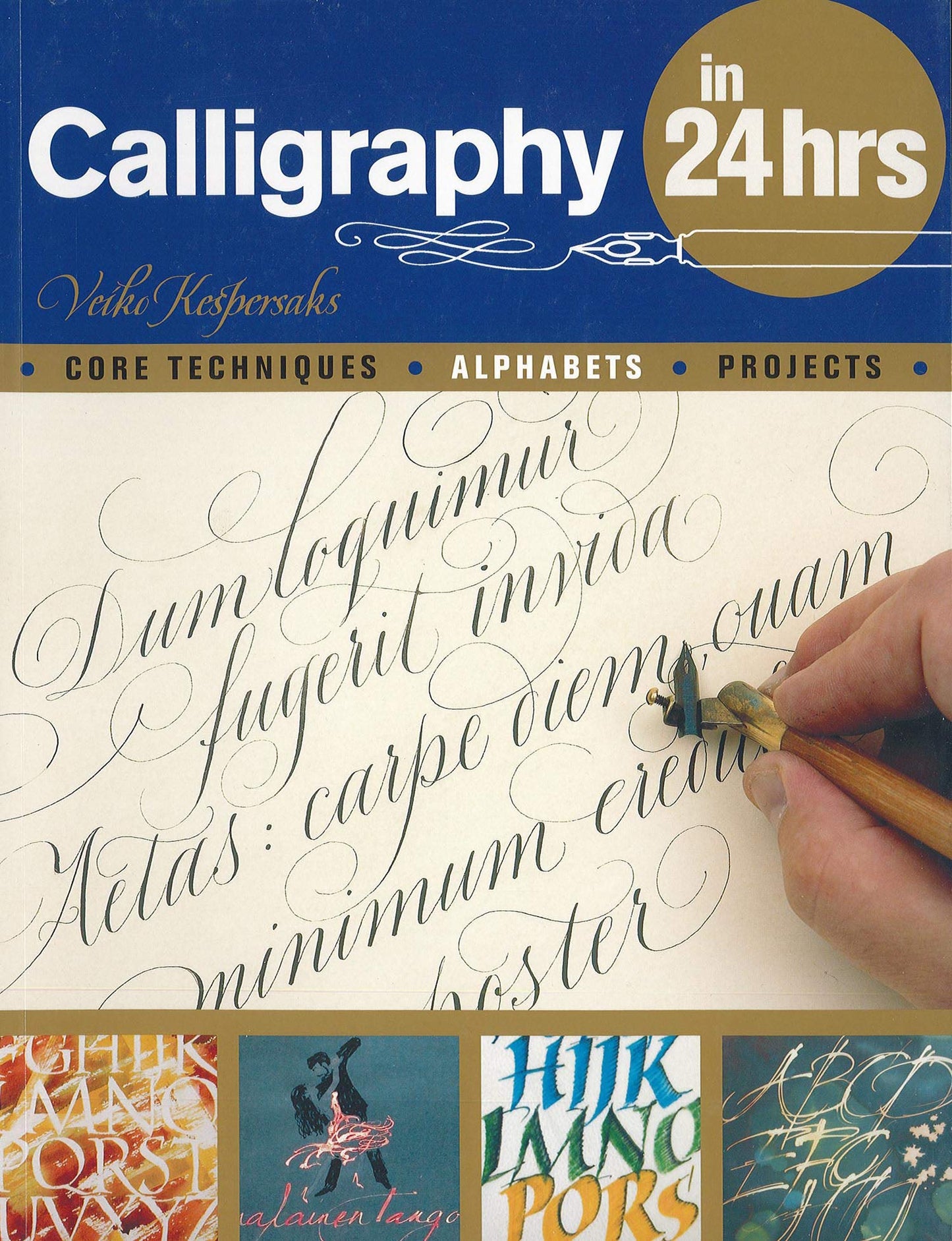 Barrons Calligraphy in 24hrs Book - 5087