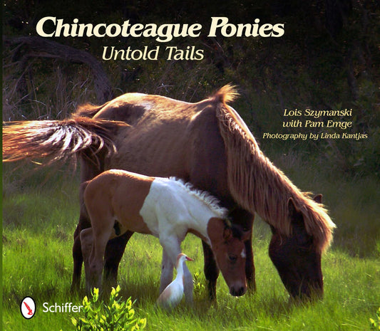 Chincoteague Ponies: Untold Tails - 3278