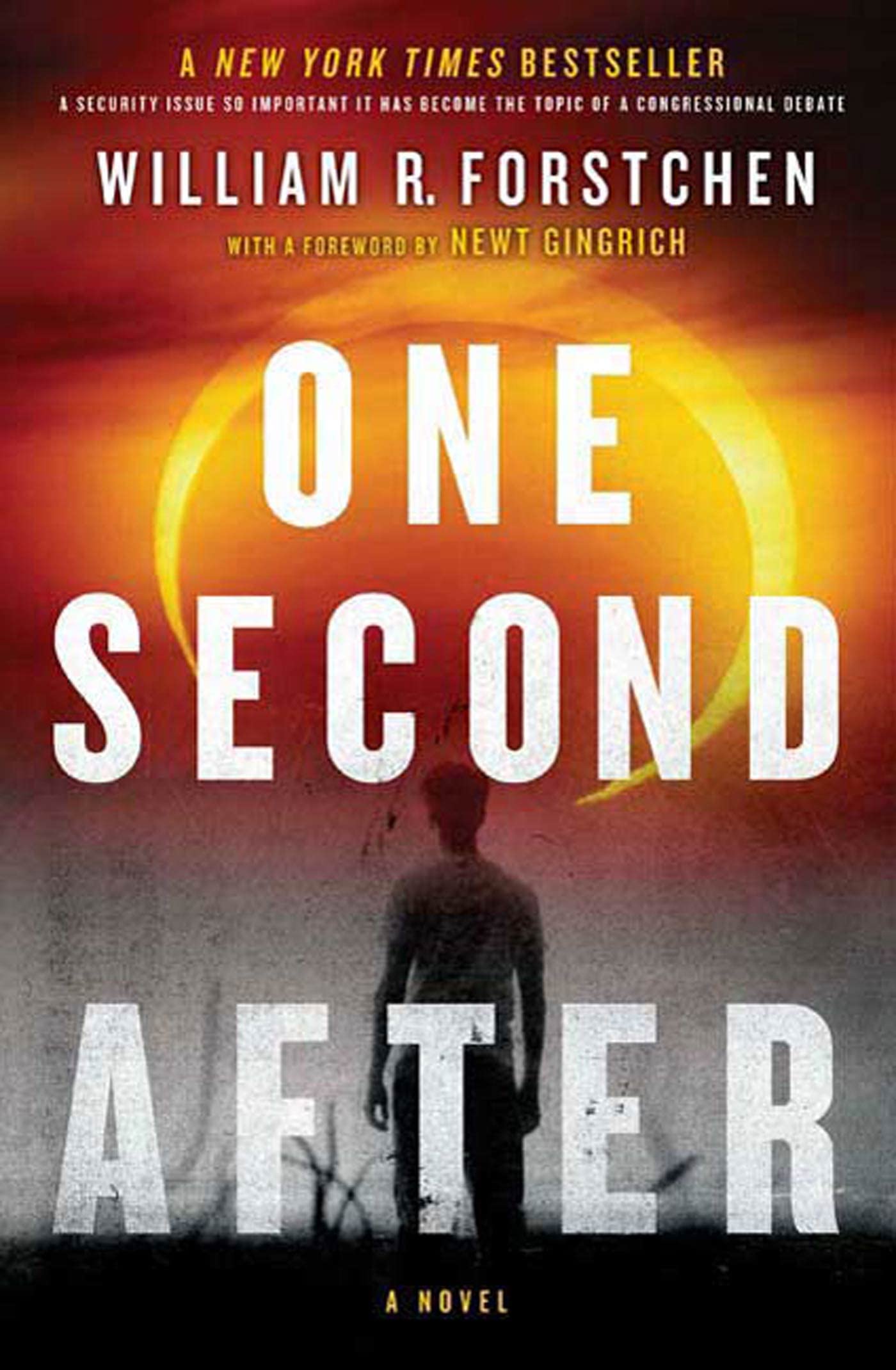 One Second After (A John Matherson Novel, 1) - 9141