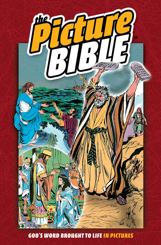 The Picture Bible - 4209