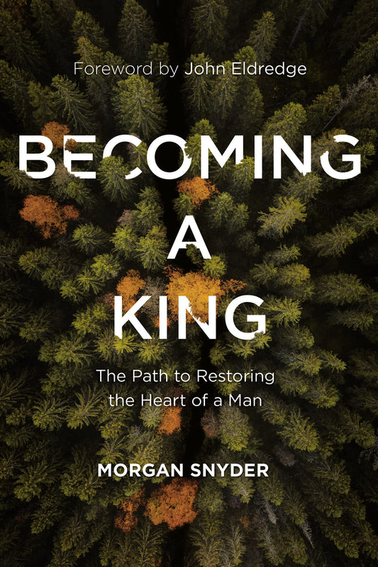 Becoming a King: The Path to Restoring the Heart of a Man - 3103