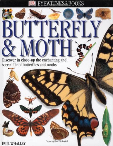 Eyewitness: Butterfly & Moth (Eyewitness Books) - 9752