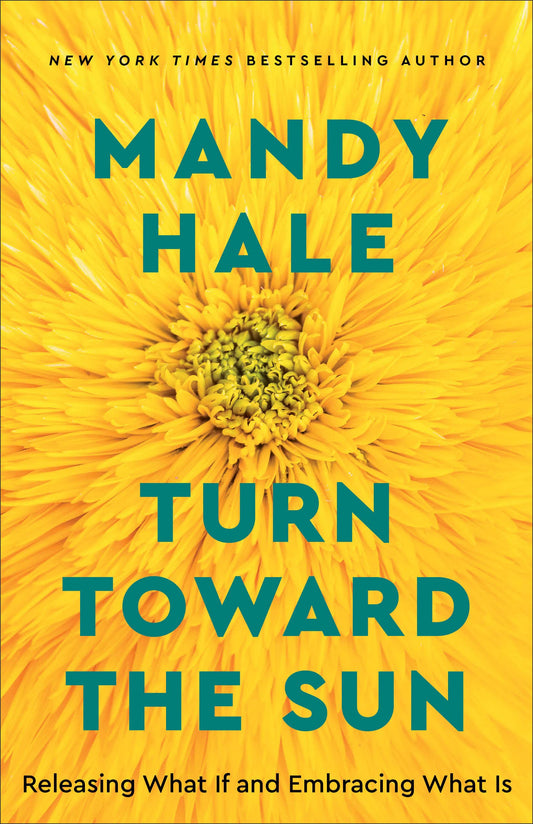 Turn Toward the Sun: Releasing What If and Embracing What Is - 3072