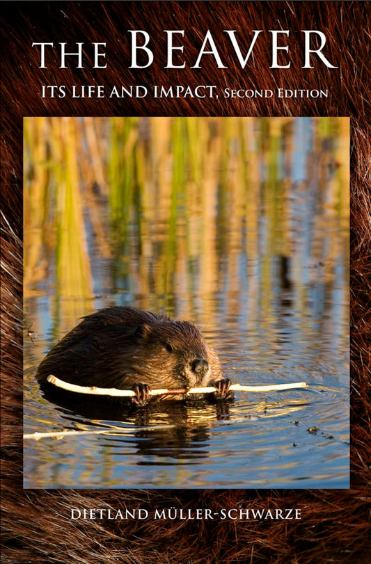 The Beaver: Natural History of a Wetlands Engineer - 9618