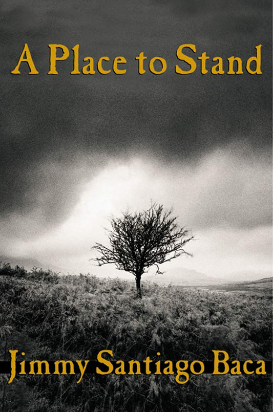 A Place to Stand - 3534