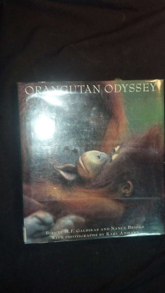 Orangutan Odyssey - 7110