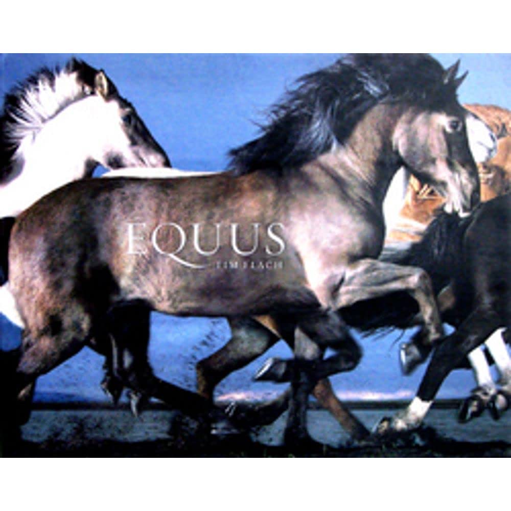 Equus - 4120