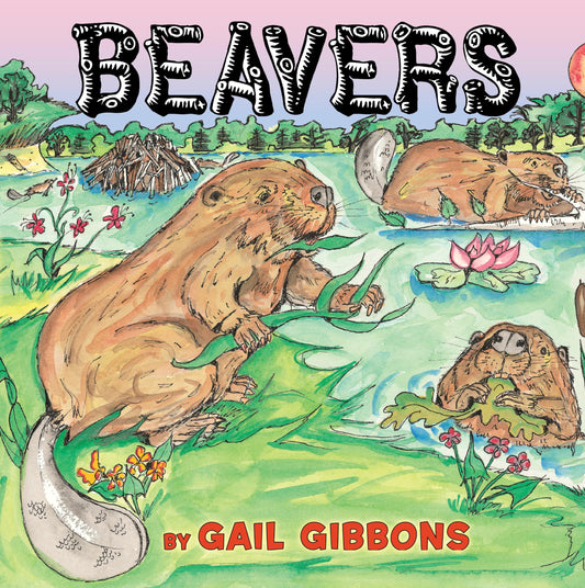 Beavers - 4196