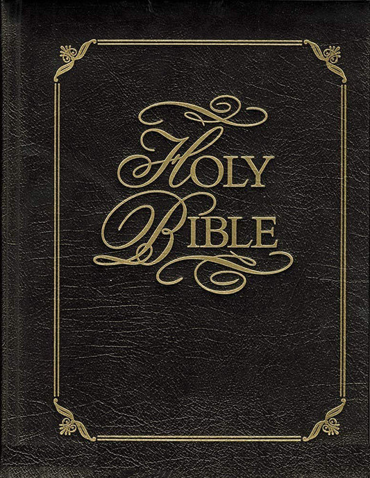 Family Faith and Values Bible - 6579