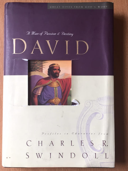 David: A Man of Passion & Destiny (Great Lives from God's Words, Volume 1) - 4879