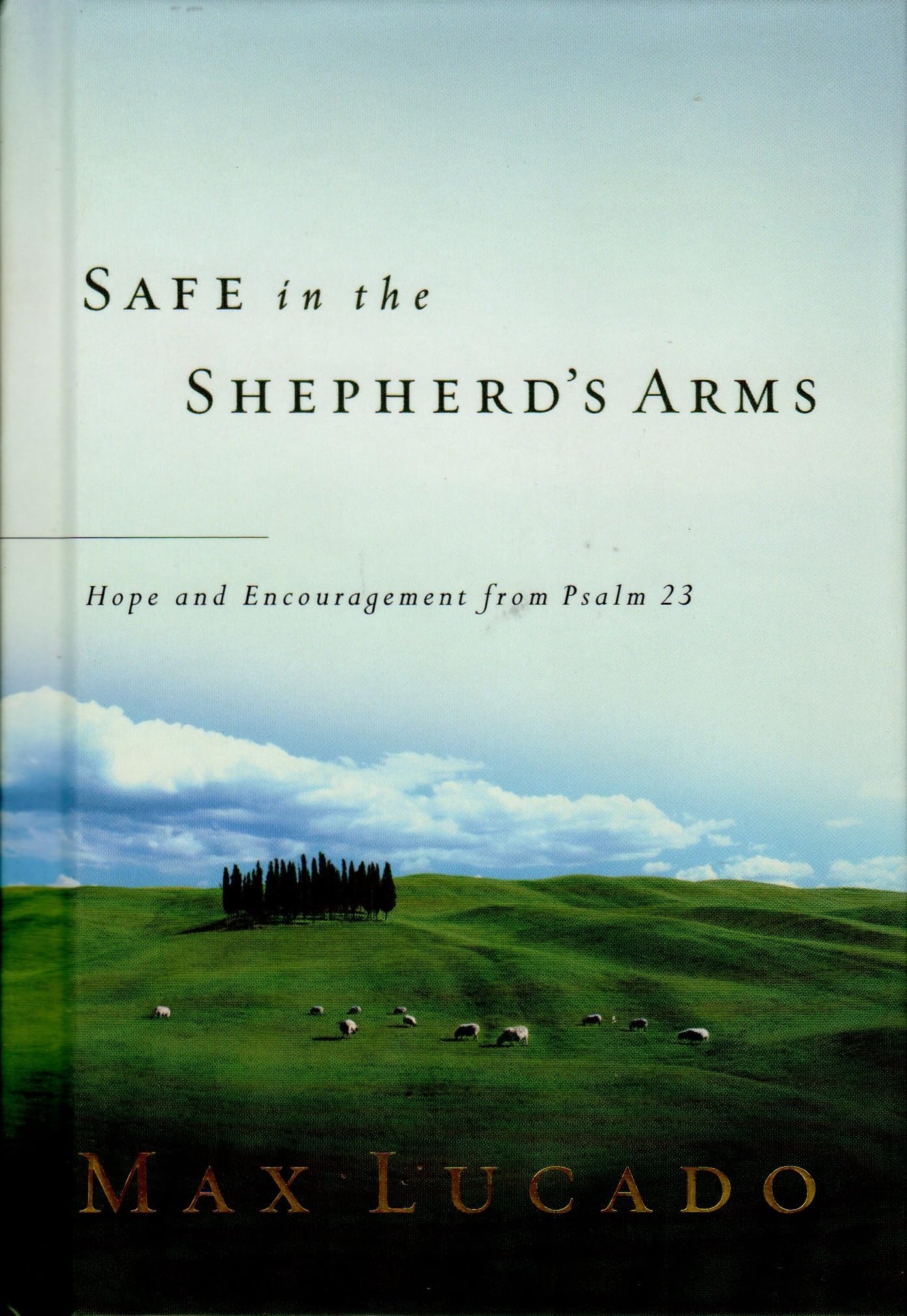 Safe in the Shepherd's Arms - 760