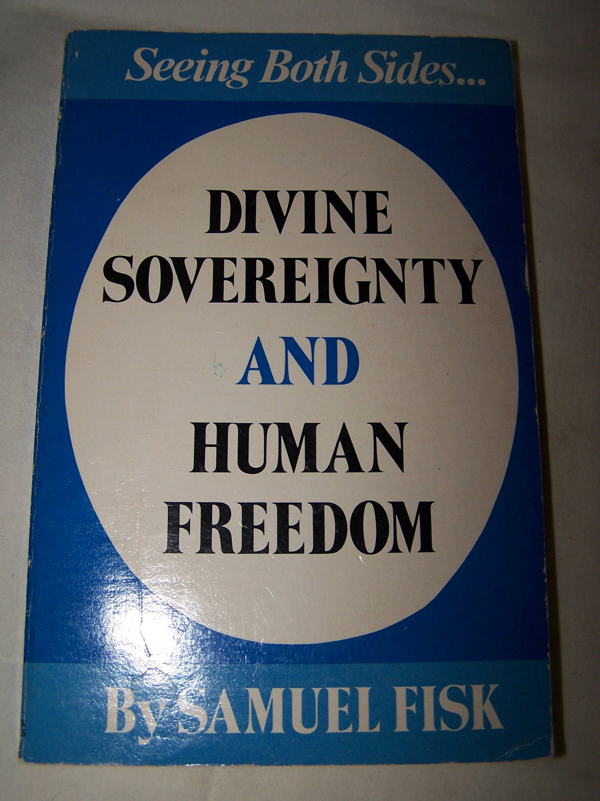 Divine Sovereignty and Human Freedom
