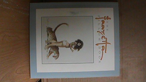 Frazetta Pillow Book