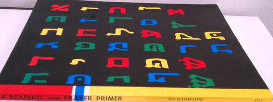 A Reading and Prayer Primer (Hebrew Edition)