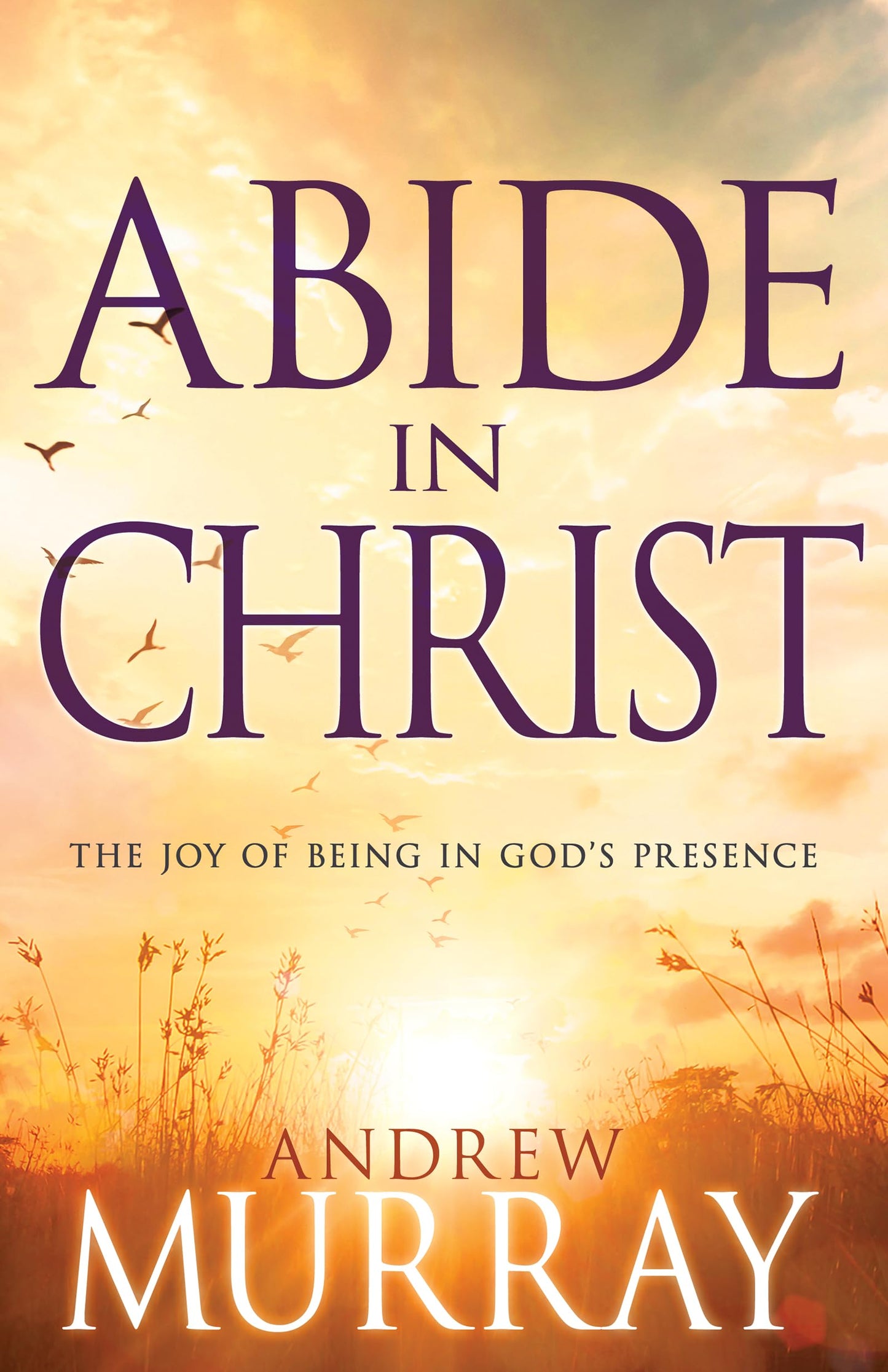 Abide in Christ: The Joy of Being in God's Presence - 6291