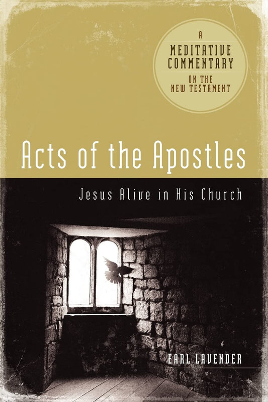 Meditative Commentary - Acts of the Apostles (Meditative Commentaries)