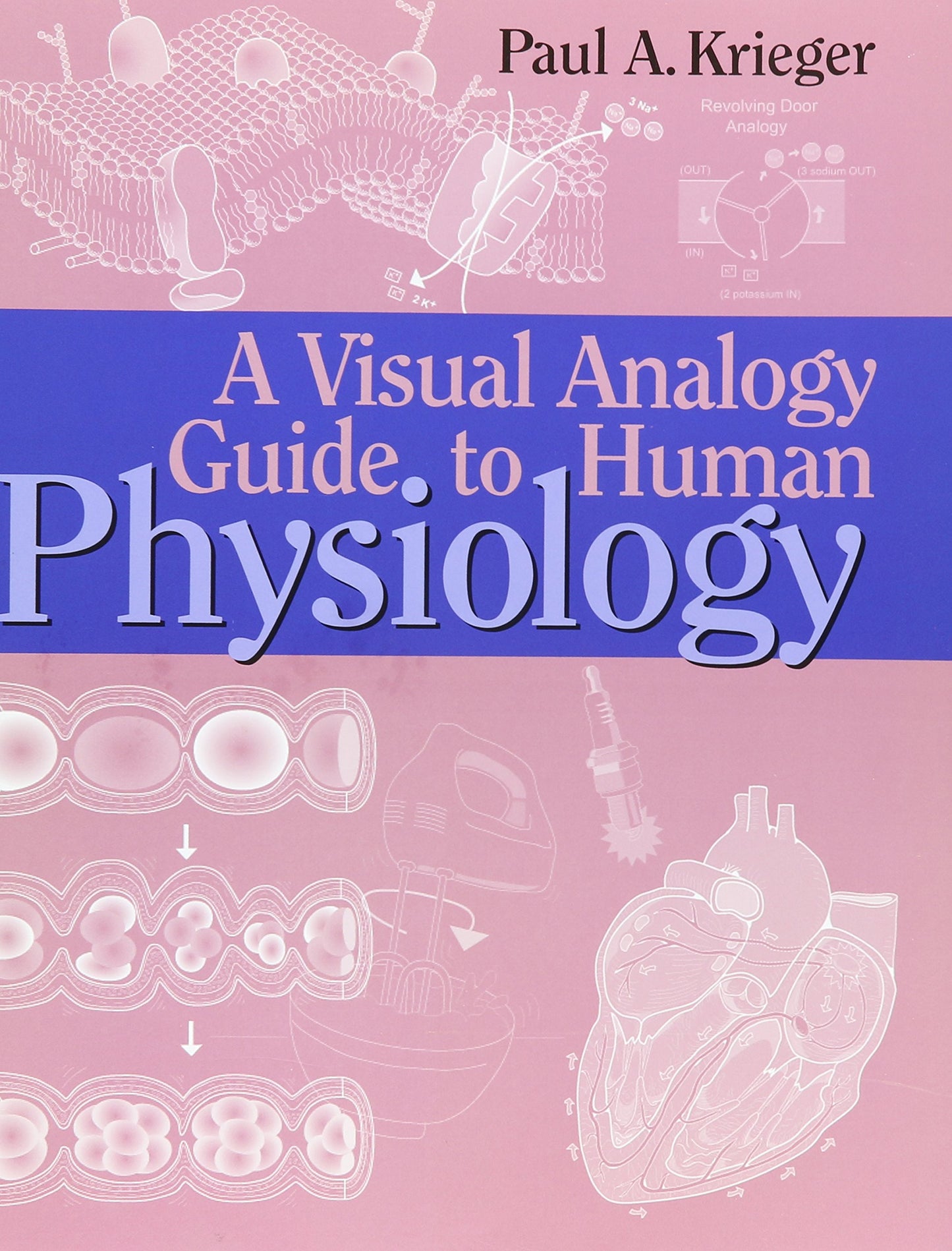 A Visual Analogy Guide to Human Physiology