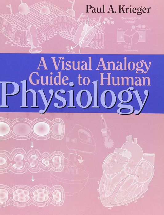 A Visual Analogy Guide to Human Physiology