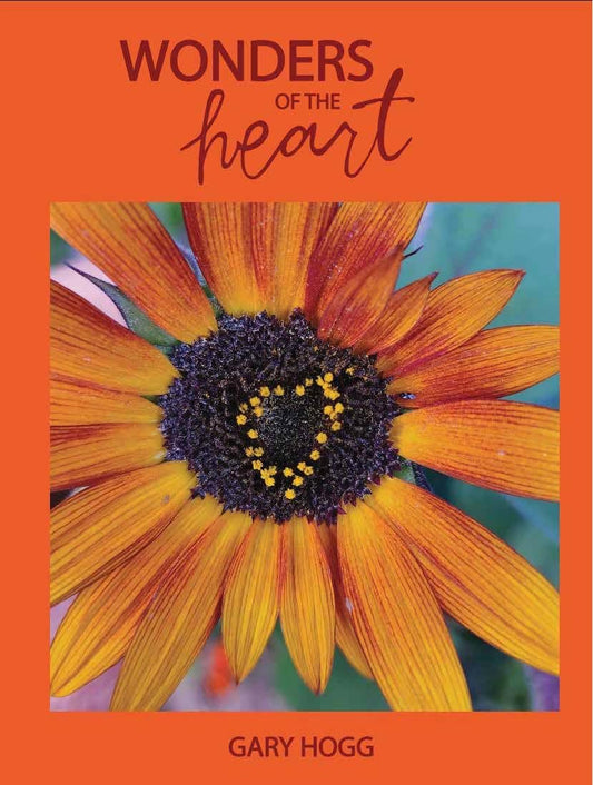 Wonders Of The Heart - 9976