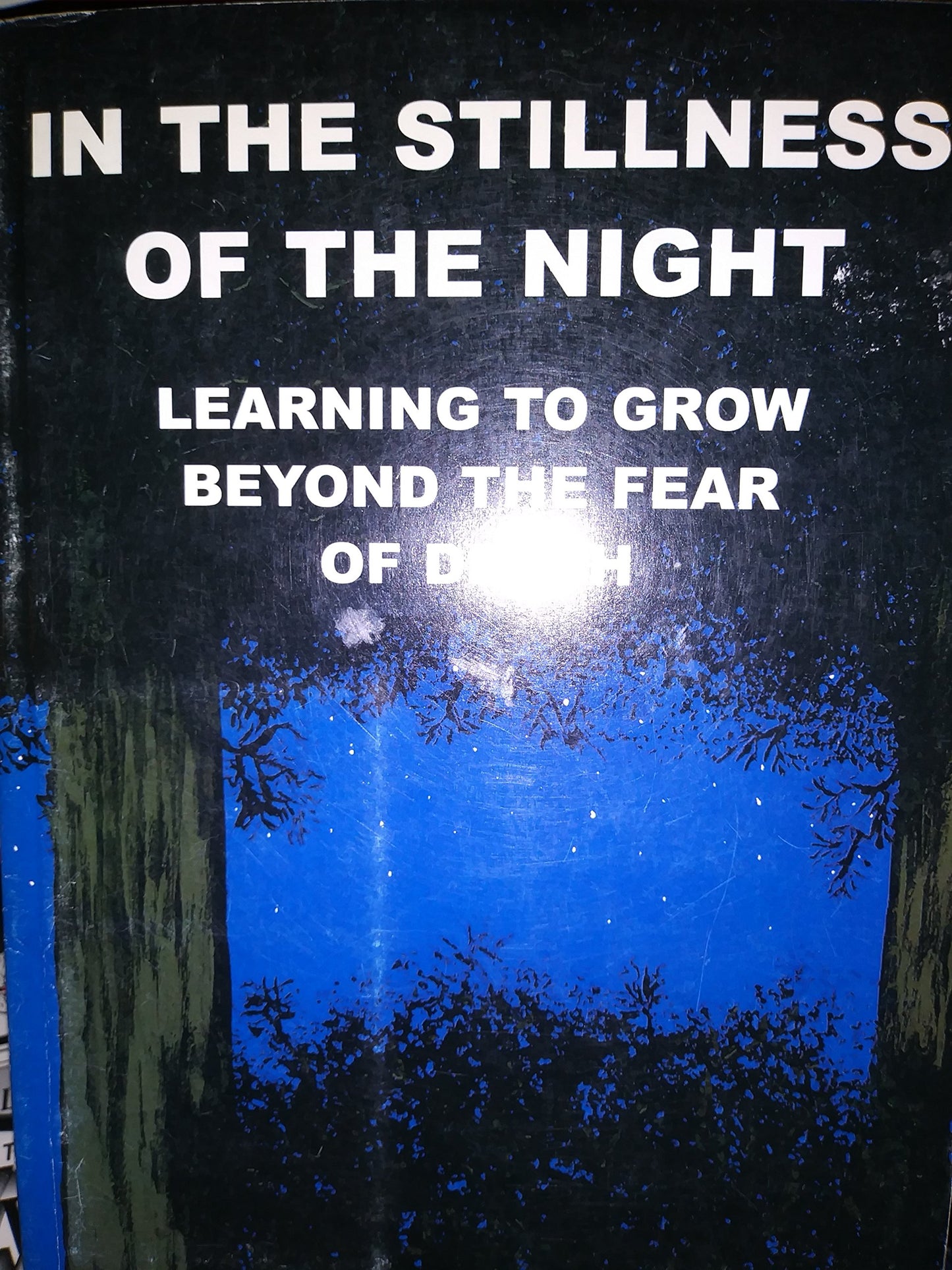 In The Stillness Of The Night