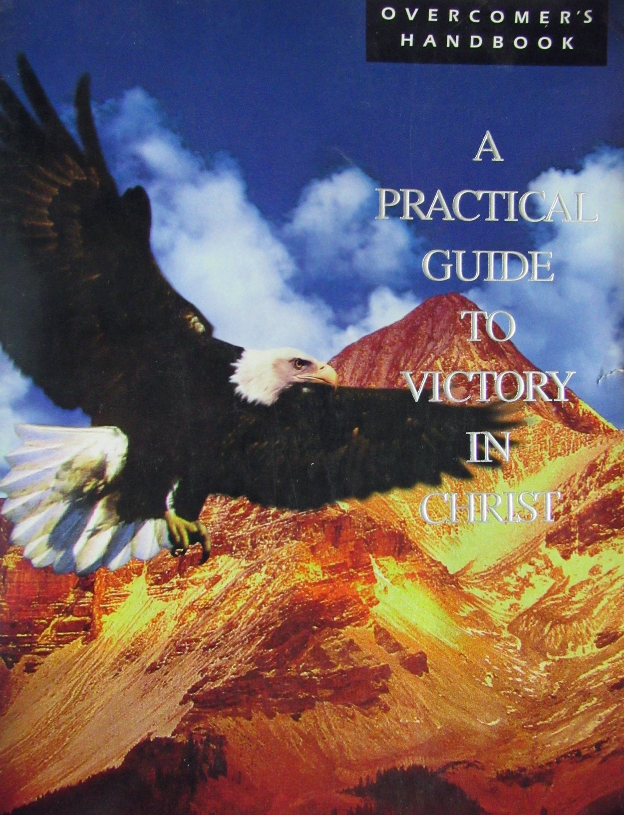 Overcomer's Handbook: a Practical Guide to Victory in Christ