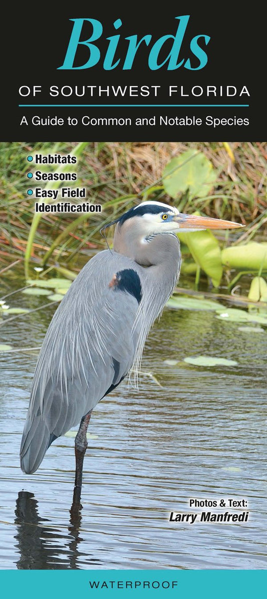 Birds of Southwest Florida: A Guide to Common & Notable Species (Quick Reference Guides) - 5681