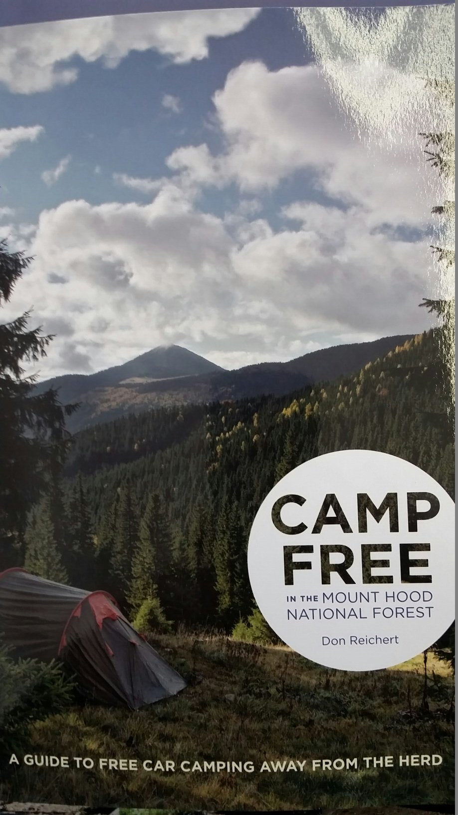 Camp Free in the Mt Hood National Forest