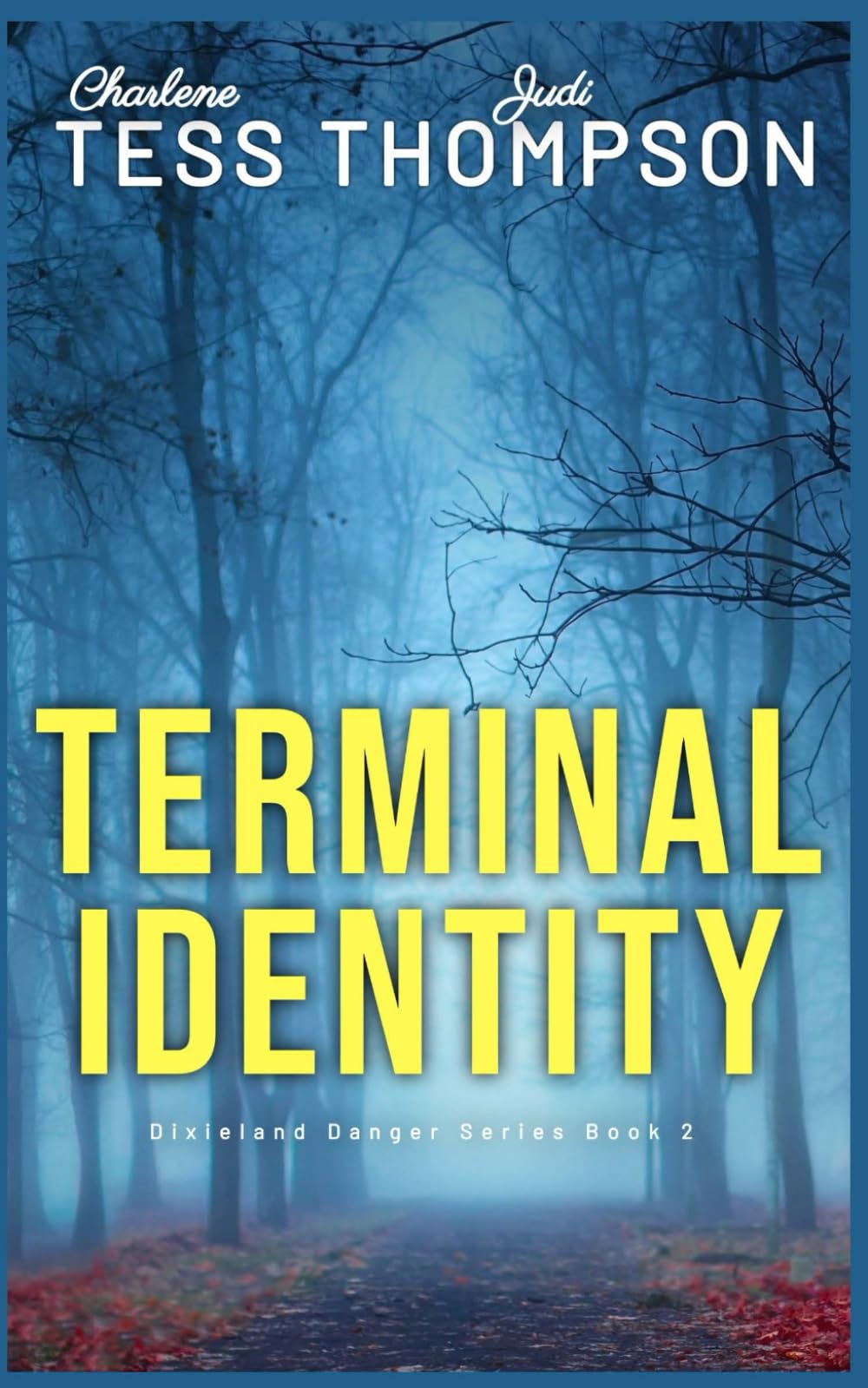 Terminal Identity: Sequel to Stolen Laughter (Dixieland Danger series)