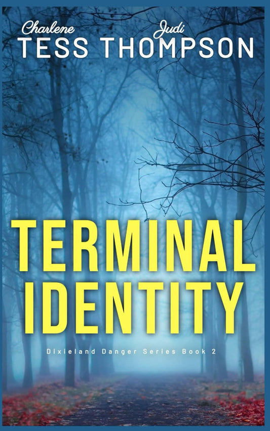 Terminal Identity: Sequel to Stolen Laughter (Dixieland Danger series)