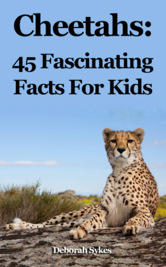 Cheetahs: 45 Fascinating Facts For Kids - 1975