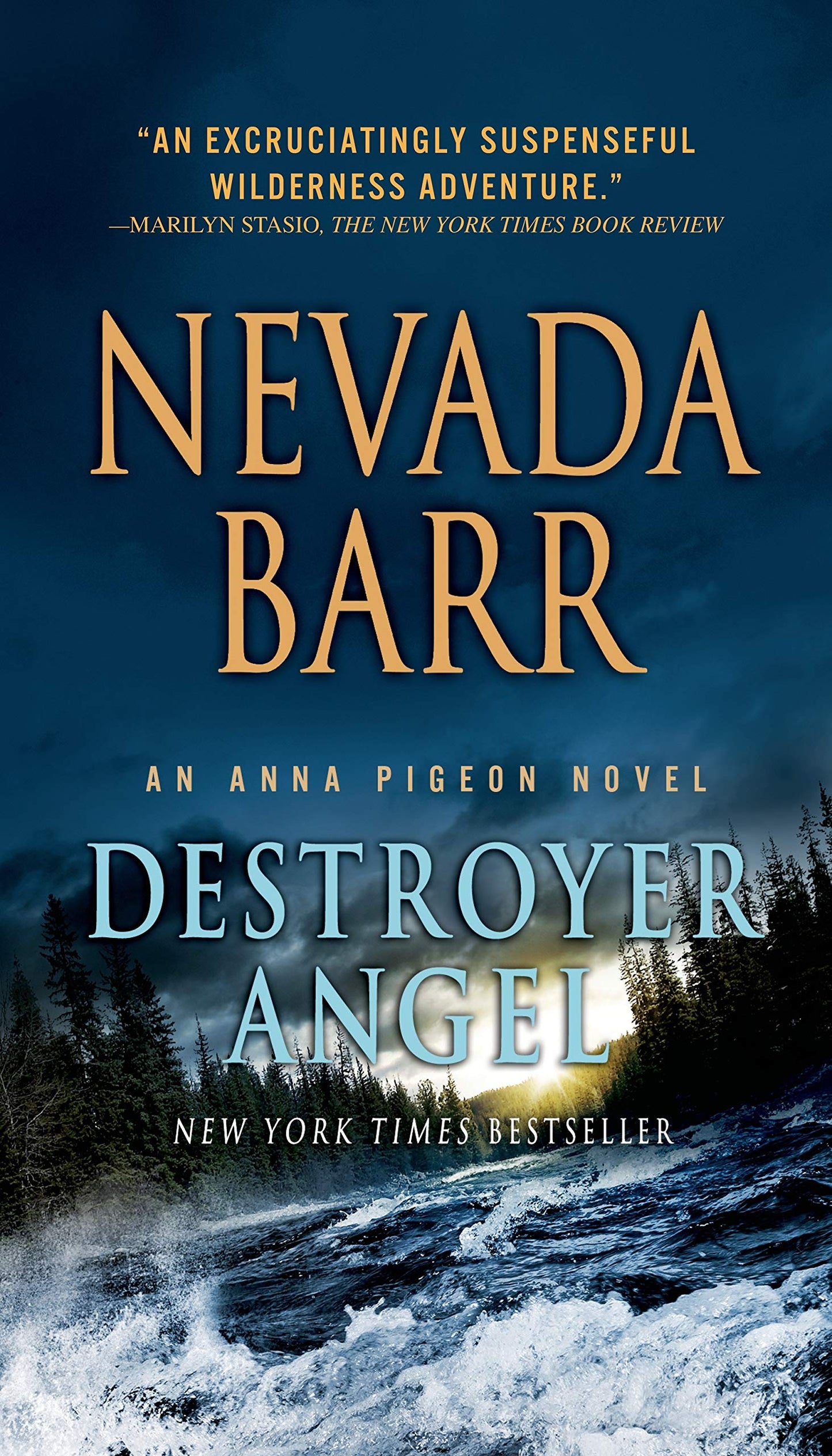 Destroyer Angel: An Anna Pigeon Novel (Anna Pigeon Mysteries, 18) - 9933