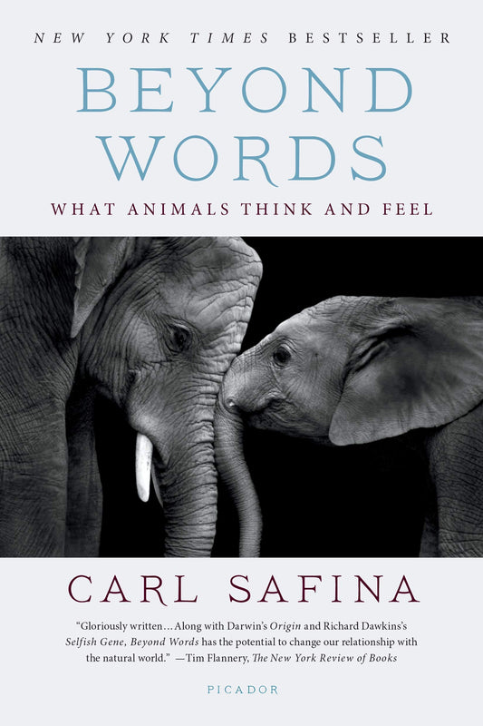 Beyond Words: What Animals Think and Feel - 6337