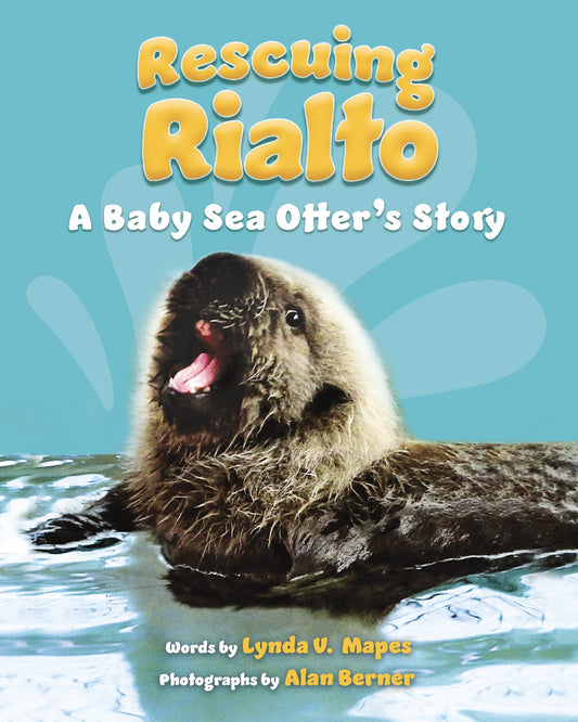 Rescuing Rialto: A Baby Sea Otter's Story - 2869