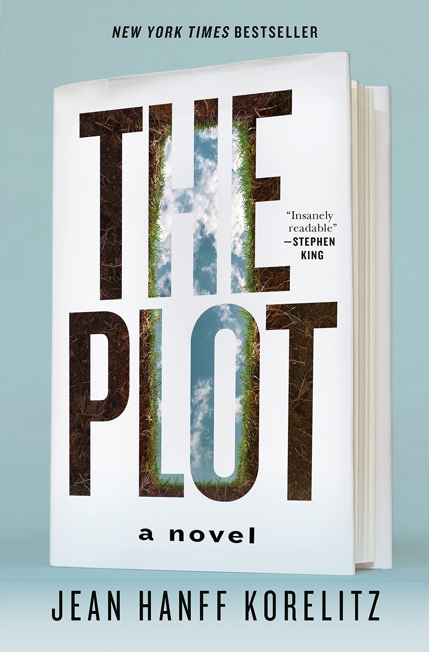 The Plot: A Novel (The Book Series, 1)