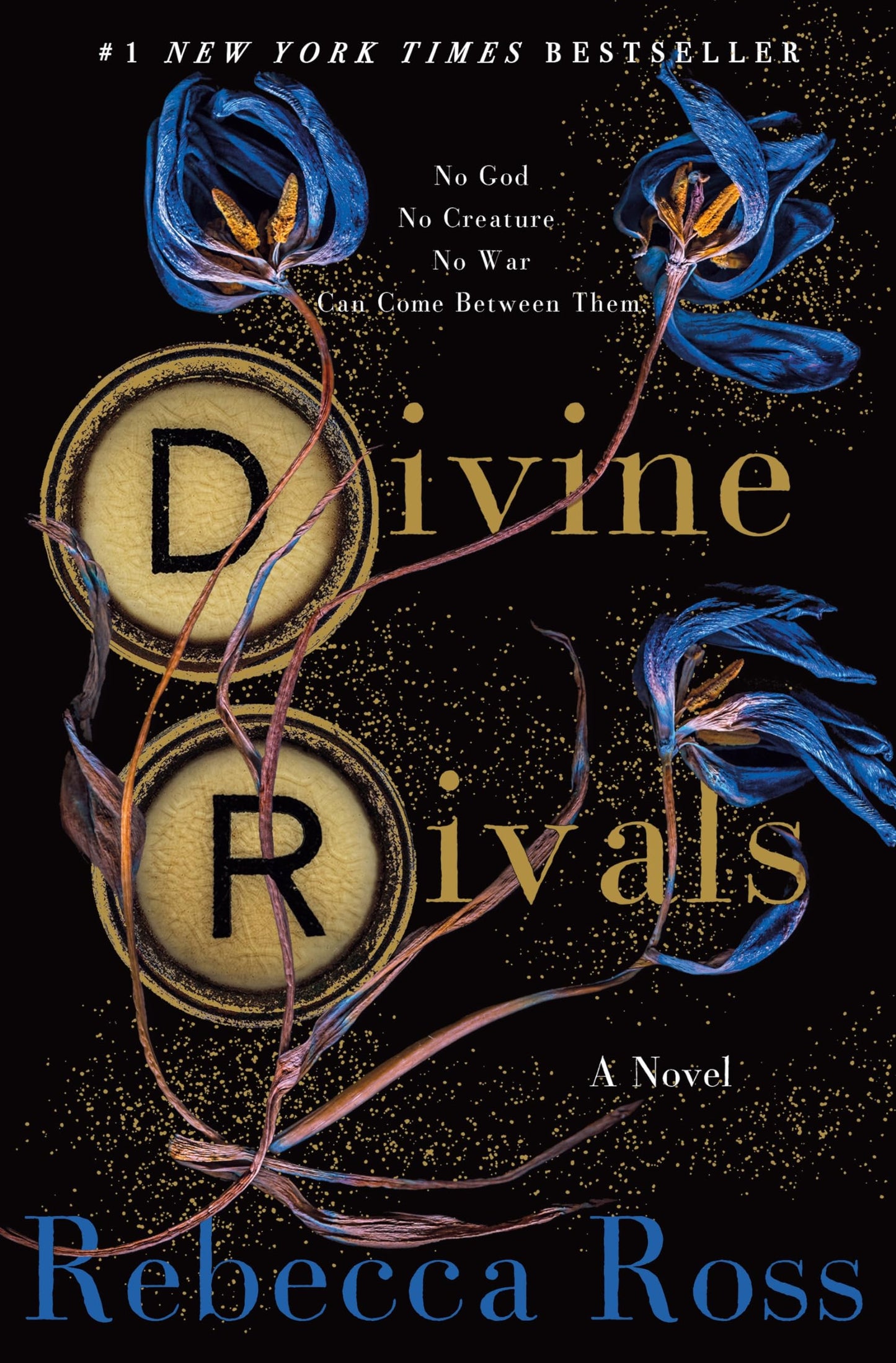 Divine Rivals: A Novel (Letters of Enchantment, 1) - 299