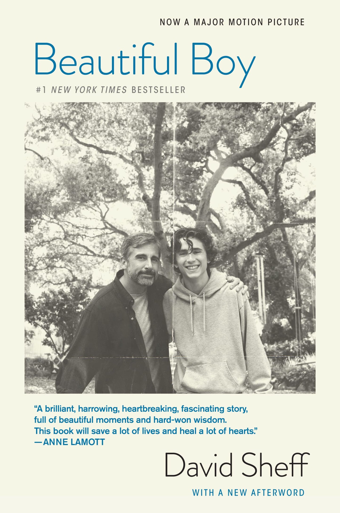 Beautiful Boy (tie-In): A Father's Journey Through His Son's Addiction - 7610