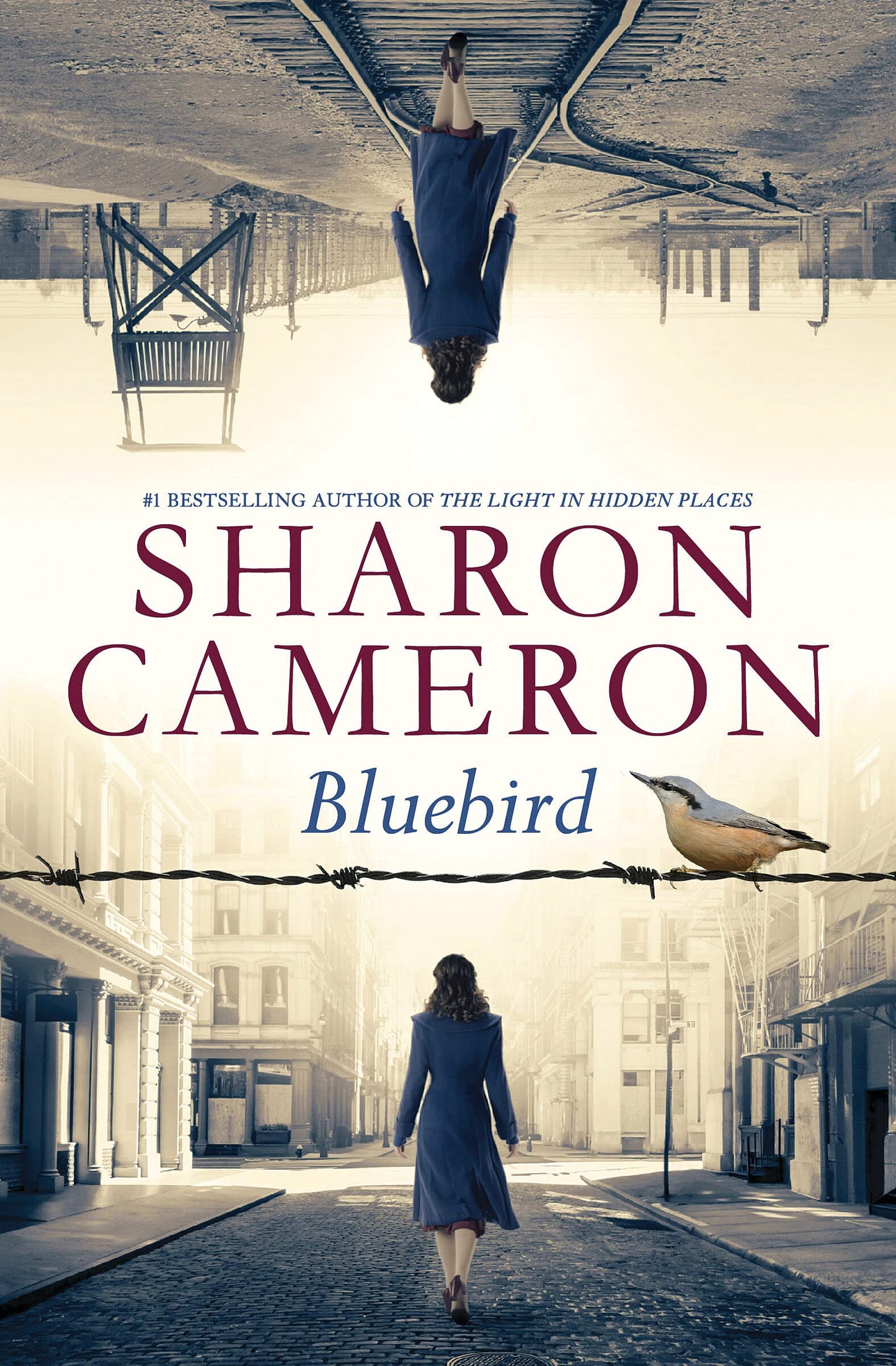 Bluebird - 2705