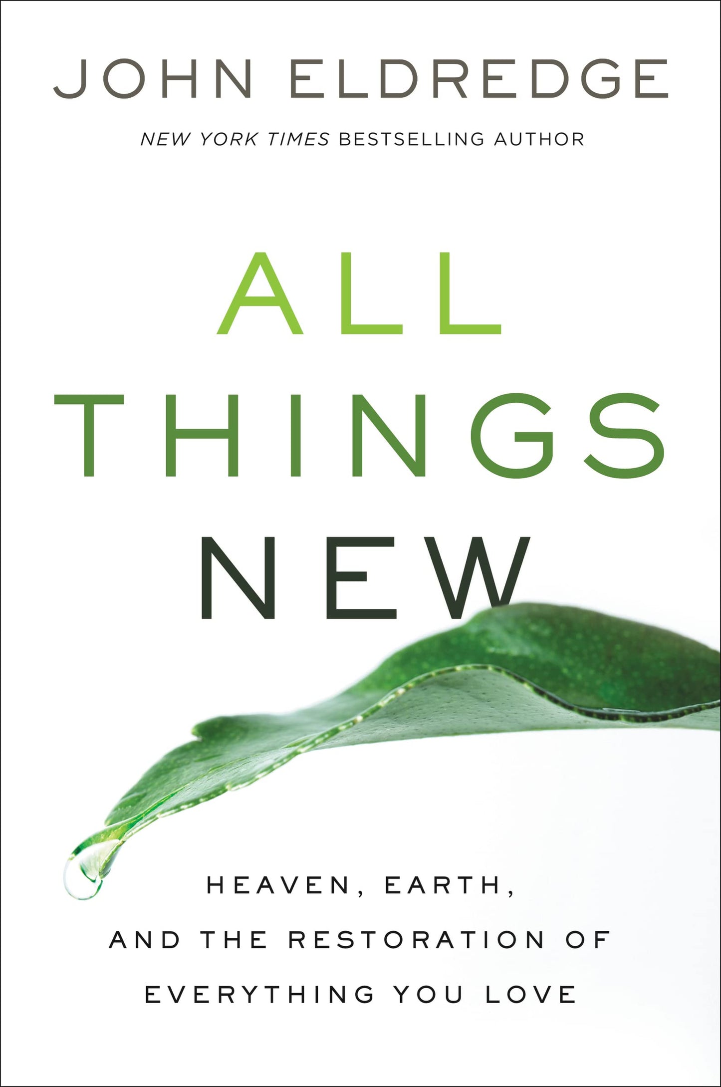 All Things New: Heaven, Earth, and the Restoration of Everything You Love - 4806