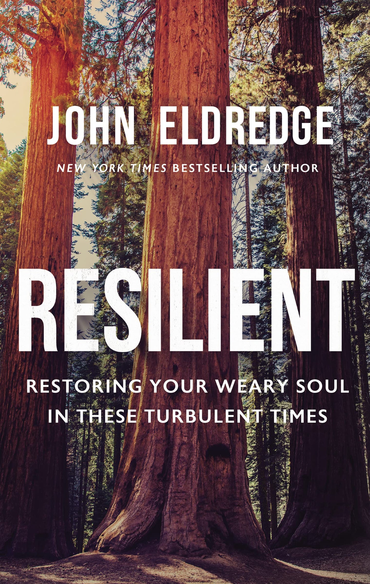 Resilient: Restoring Your Weary Soul in These Turbulent Times - 8096