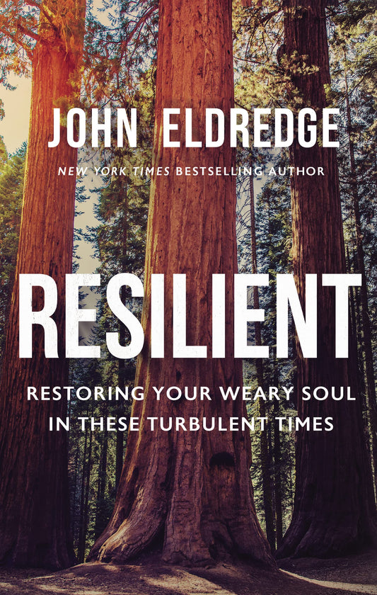 Resilient: Restoring Your Weary Soul in These Turbulent Times - 8096
