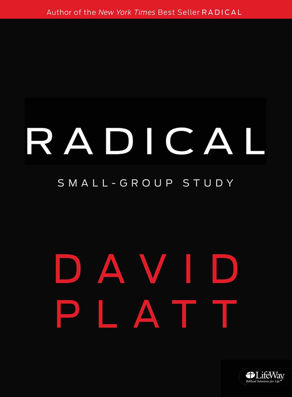 Radical Small Group Study - Member Book - 8256