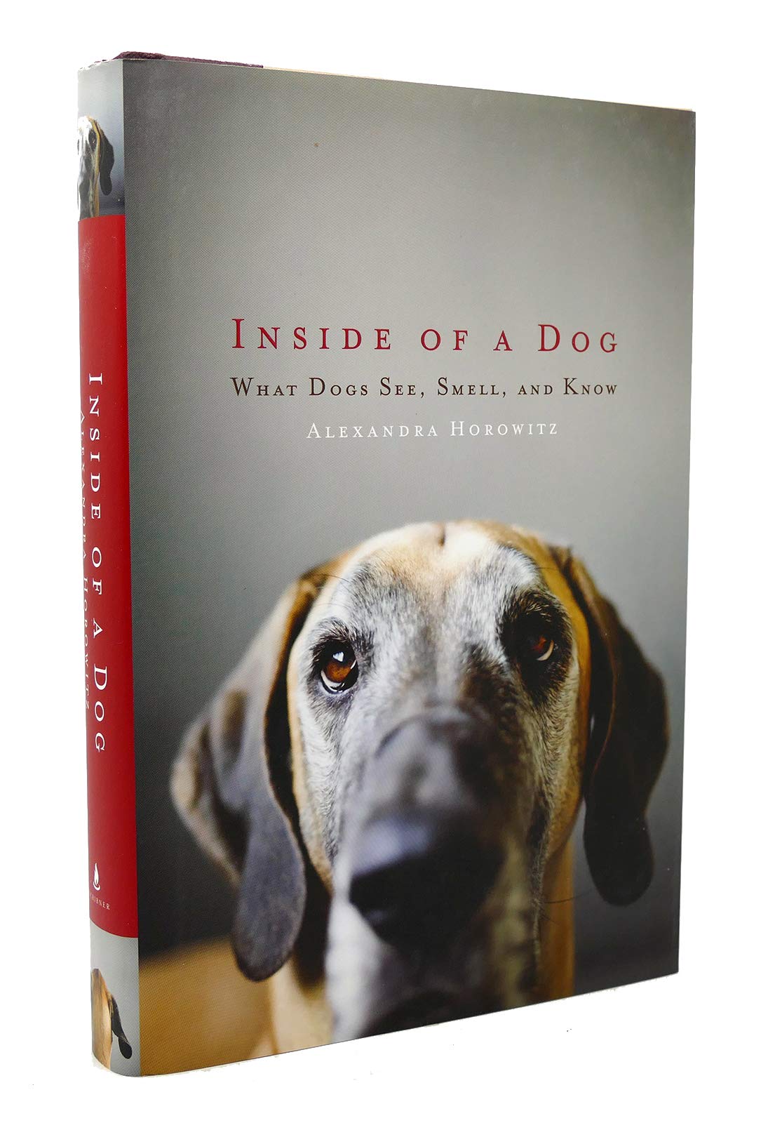 Inside of a Dog: What Dogs See, Smell, and Know - 7309
