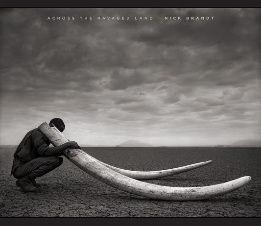 Across the Ravaged Land - 4394