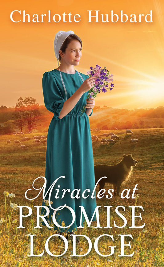 Miracles at Promise Lodge - 1667