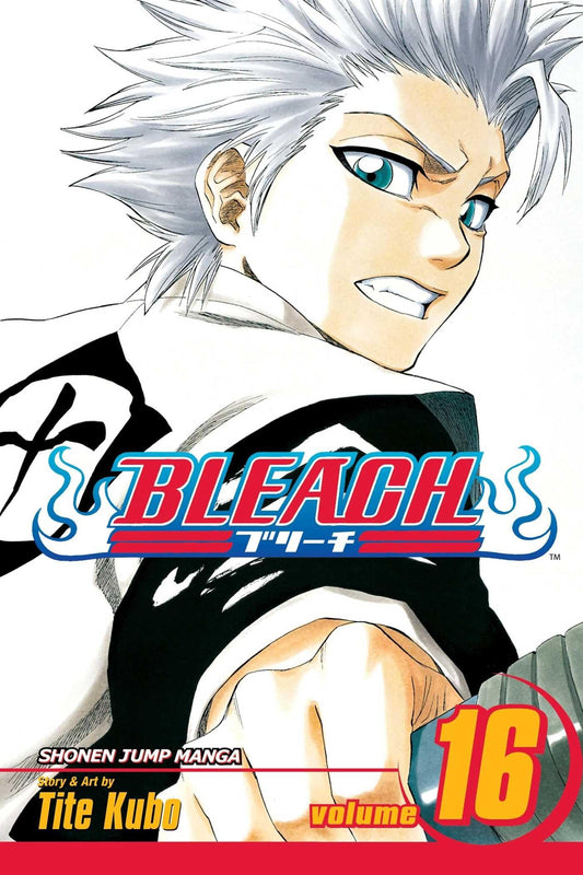 Bleach, Vol. 16 - 8809