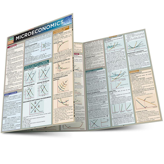 Microeconomics QuickStudy Laminated Reference Guide - 5279