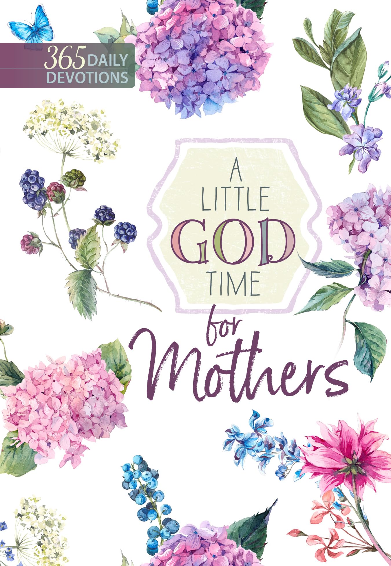 A Little God Time for Mothers: 365 Daily Devotions - 895
