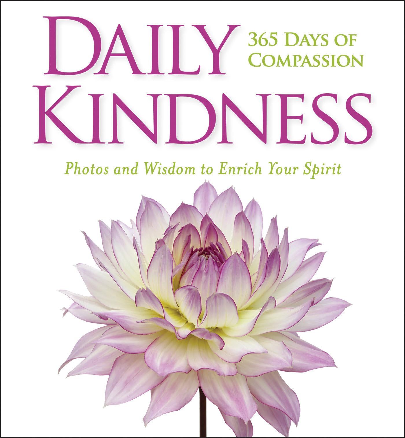 Daily Kindness: 365 Days of Compassion - 9012
