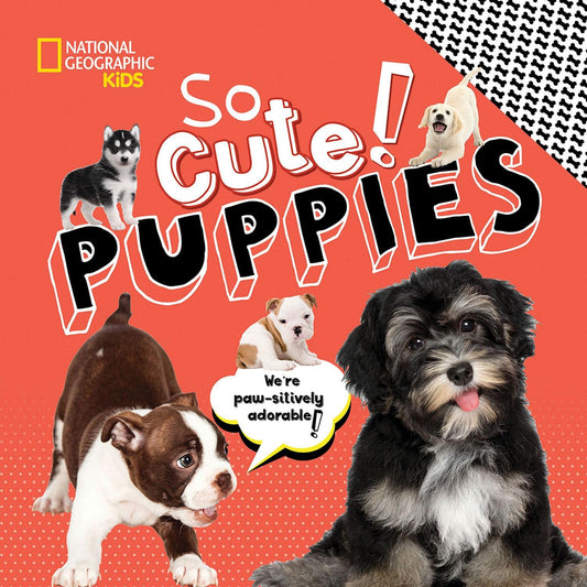 So Cute! Puppies (So Cool/So Cute)