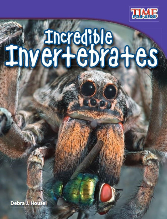 Teacher Created Materials - TIME For Kids Informational Text: Incredible Invertebrates - Grade 3 - Guided Reading Level N